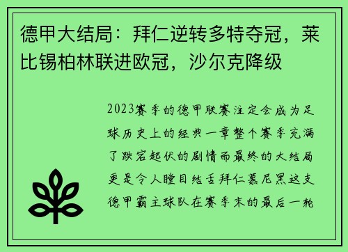 德甲大结局：拜仁逆转多特夺冠，莱比锡柏林联进欧冠，沙尔克降级