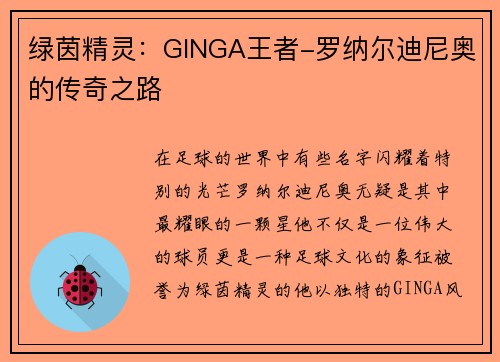 绿茵精灵：GINGA王者-罗纳尔迪尼奥的传奇之路